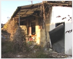  2024Ÿ��2895 �泲 â�籺 ����� ������ 620      ���ð��