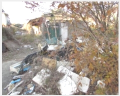  2024Ÿ��2895 �泲 â�籺 ����� ������ 620      ���ð��