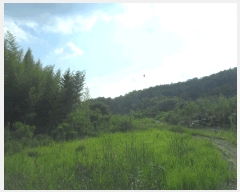  2024Ÿ��2918  ����