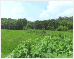  2024Ÿ��2918  ����