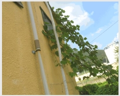  2024Ÿ��2918  �󰡰��