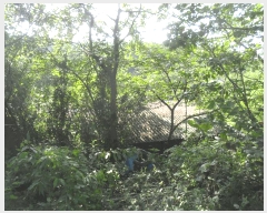  2024Ÿ��2918  �󰡰��