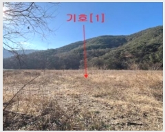  2024Ÿ2987 泲 â籺   994-1      ()