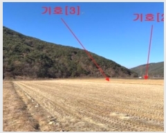  2024Ÿ2987 泲 â籺   994-1      ()