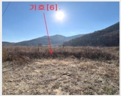  2024Ÿ2987 泲 â籺   994-1      ()