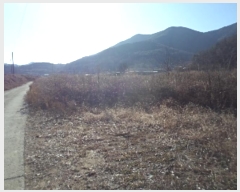  2024Ÿ2987 泲 â籺   994-1      ()