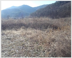  2024Ÿ2987 泲 â籺   994-1      ()