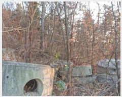  2024Ÿ��3089 �泲 â�籺 â���� ���긮 431      ����(��1)���