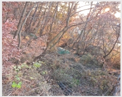  2024Ÿ��3089 �泲 â�籺 â���� ���긮 431      ����(��1)���