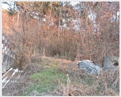  2024Ÿ��3089 �泲 â�籺 â���� ���긮 431      ����(��1)���