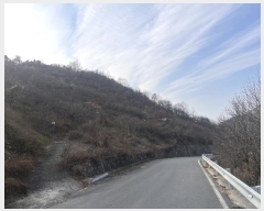  2024Ÿ��3140  ���������