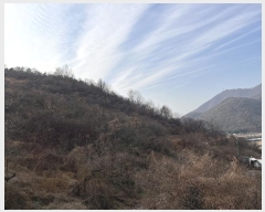  2024Ÿ��3140 �泲 �о�� �ʵ��� �ſ��� 62-6      ����(������)���