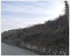  2024Ÿ��3140 �泲 �о�� �ʵ��� �ſ��� 62-6      ����(������)���