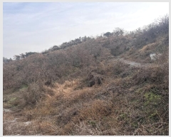  2024Ÿ��3140 �泲 �о�� �ʵ��� �ſ��� 62-6      ����(������)���