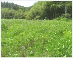  2024Ÿ��3171 �泲 �о�� û���� ���⸮ ��85      ����(�Ӿ�)���