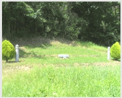  2024Ÿ��3171 �泲 �о�� û���� ���⸮ ��85      ����(�Ӿ�)���