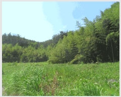  2024Ÿ��3171 �泲 �о�� û���� ���⸮ ��85      ����(�Ӿ�)���