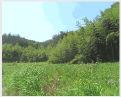  2024Ÿ��3171 �泲 �о�� û���� ���⸮ ��85      ����(�Ӿ�)���