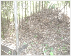  2024Ÿ��3171 �泲 �о�� û���� ���⸮ ��85      ����(�Ӿ�)���