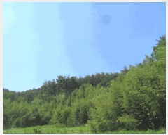  2024Ÿ��3171 �泲 �о�� û���� ���⸮ ��85      ����(�Ӿ�)���