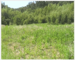  2024Ÿ��3171 �泲 �о�� û���� ���⸮ ��85      ����(�Ӿ�)���