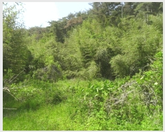  2024Ÿ��3171 �泲 �о�� û���� ���⸮ ��85      ����(�Ӿ�)���