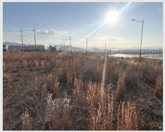  2024Ÿ��3232 �泲 �о�� �ϳ��� �絿�� 832-8      ����(�������)���