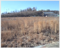  2024Ÿ��3232 �泲 �о�� �ϳ��� �絿�� 832-8      ����(�������)���