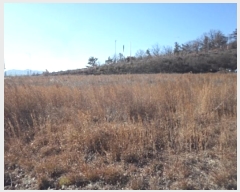  2024Ÿ��3232 �泲 �о�� �ϳ��� �絿�� 832-8      ����(�������)���