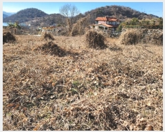  2024Ÿ��3270 �泲 �о�� �ʵ��� ������ 88-1      ����(��)���