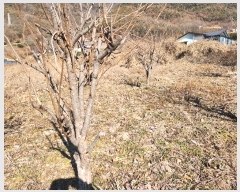  2024Ÿ��3270 �泲 �о�� �ʵ��� ������ 88-1      ����(��)���