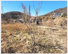  2024Ÿ��3270 �泲 �о�� �ʵ��� ������ 88-1      ����(��)���