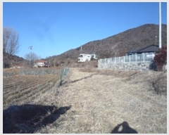  2024Ÿ��3270 �泲 �о�� �ʵ��� ������ 88-1      ����(��)���