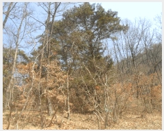  2024Ÿ��3300 �泲 â�籺 â���� ������ ��5-1      ����(�Ӿ�)���