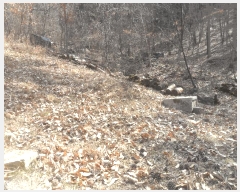  2024Ÿ��3300 �泲 â�籺 â���� ������ ��5-1      ����(�Ӿ�)���