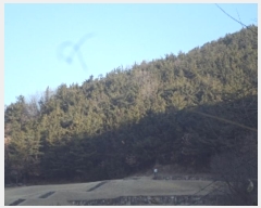  2024Ÿ��3300 �泲 â�籺 â���� ������ ��5-1      ����(�Ӿ�)���