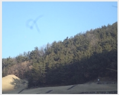  2024Ÿ��3300 �泲 â�籺 â���� ������ ��5-1      ����(�Ӿ�)���