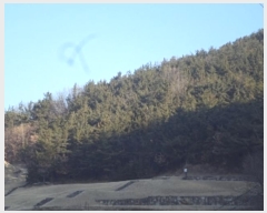  2024Ÿ��3300 �泲 â�籺 â���� ������ ��5-1      ����(�Ӿ�)���