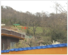  2024Ÿ��10766  �����