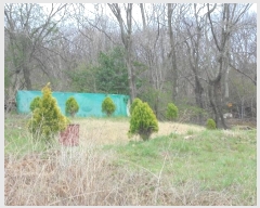  2024Ÿ��10766  �����