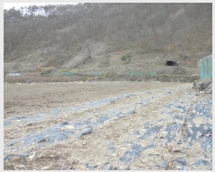  2024Ÿ��10766  �����