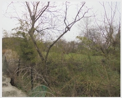  2024Ÿ��10766  �����