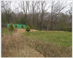  2024Ÿ��10766  �����