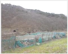  2024Ÿ��10766  �����