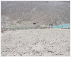  2024Ÿ��10766  �����