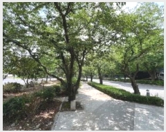  2024Ÿ11417 泲 â籺 ΰ Ź 228-12      ()