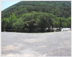  2024Ÿ11417 泲 â籺 ΰ Ź 228-12      ()