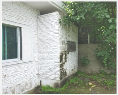  2024Ÿ��11684 �泲 â�籺 �輺�� ���긮 1629      ���(ķ����)���