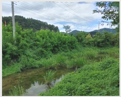  2024Ÿ��12090  ��õ���