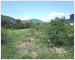  2024Ÿ��12090  ��õ���